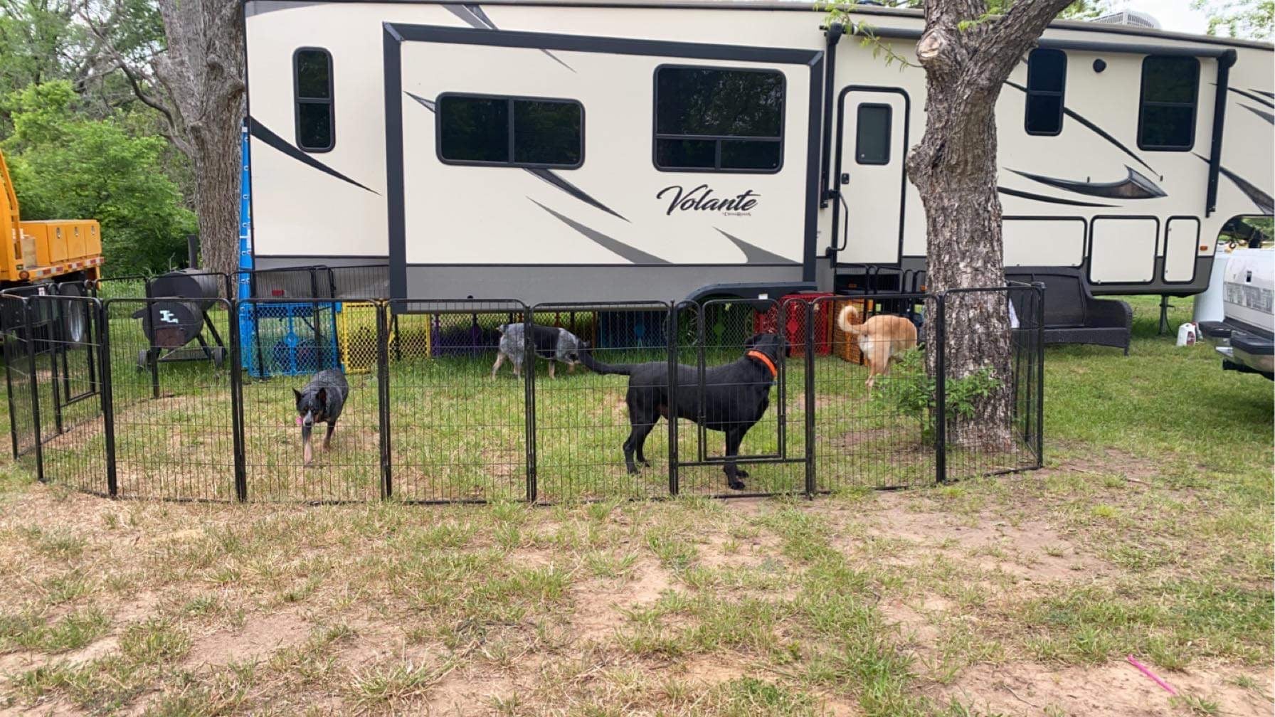 Camper submitted image from Cozy Acres Tiny Home Community - RV Sites - 2