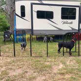 Review photo of Cozy Acres Tiny Home Community - RV Sites by Felicia , May 2, 2023