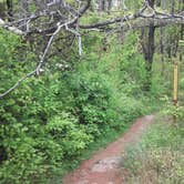 Review photo of Sky Meadows State Park Campground by Reba H., May 2, 2023