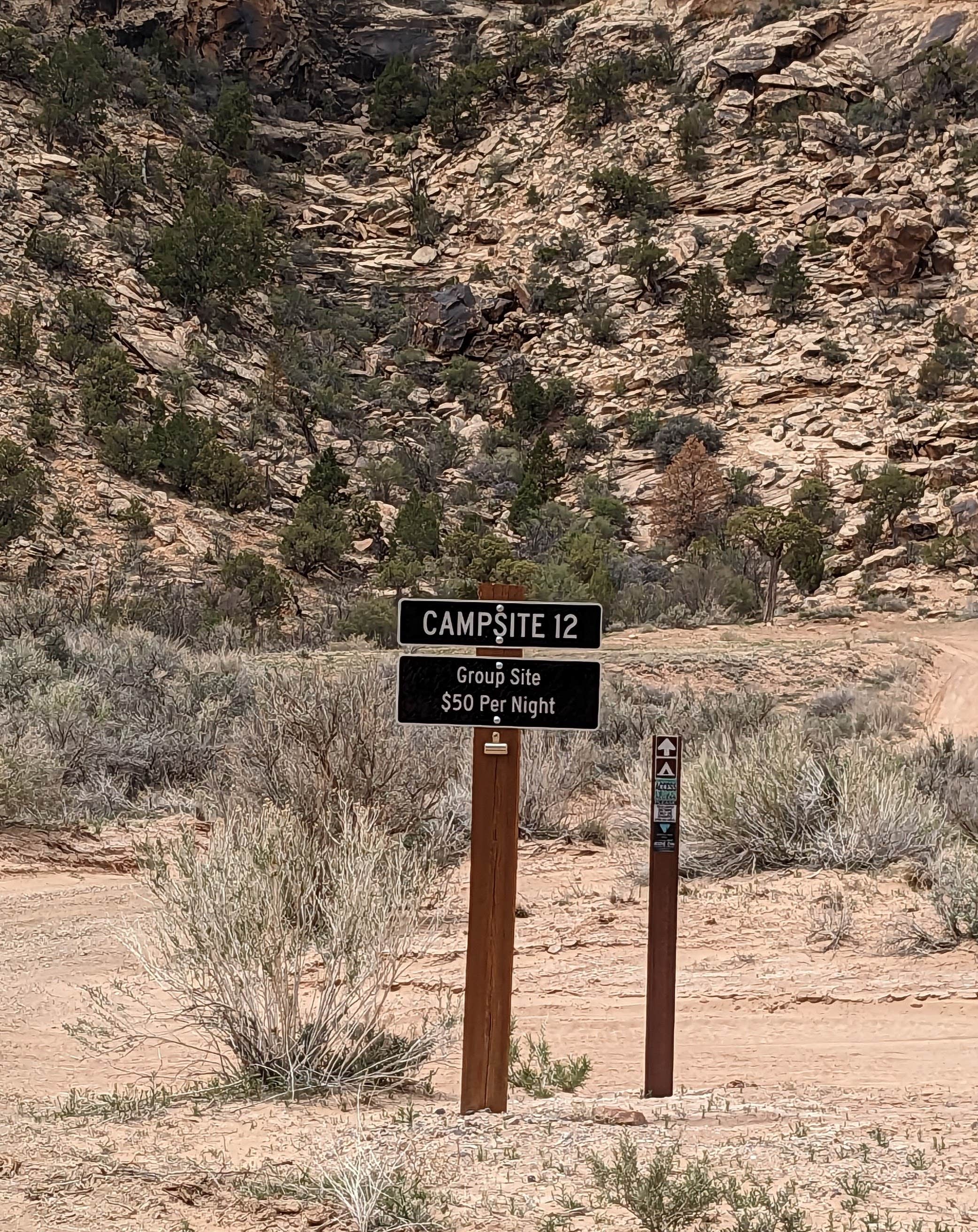 Camper-submitted photo at Buckhorn Draw Designated Group Campsite #12 near Huntington, UT