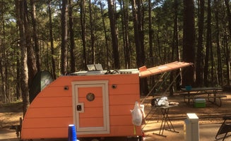 Camper-submitted photo from Tyler State Park
