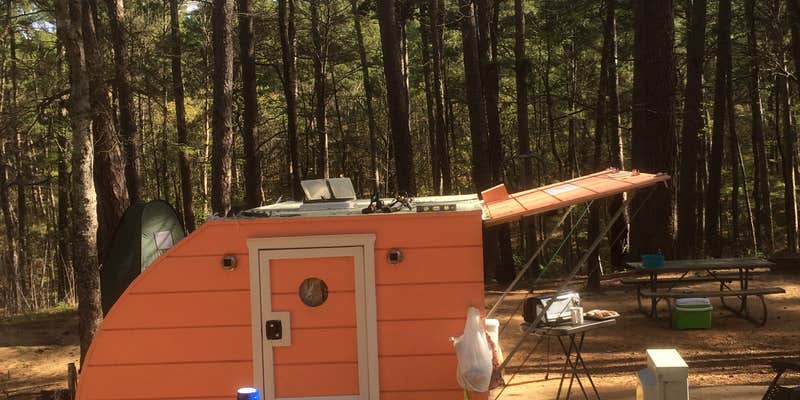 Camper submitted image from Tyler State Park Campground