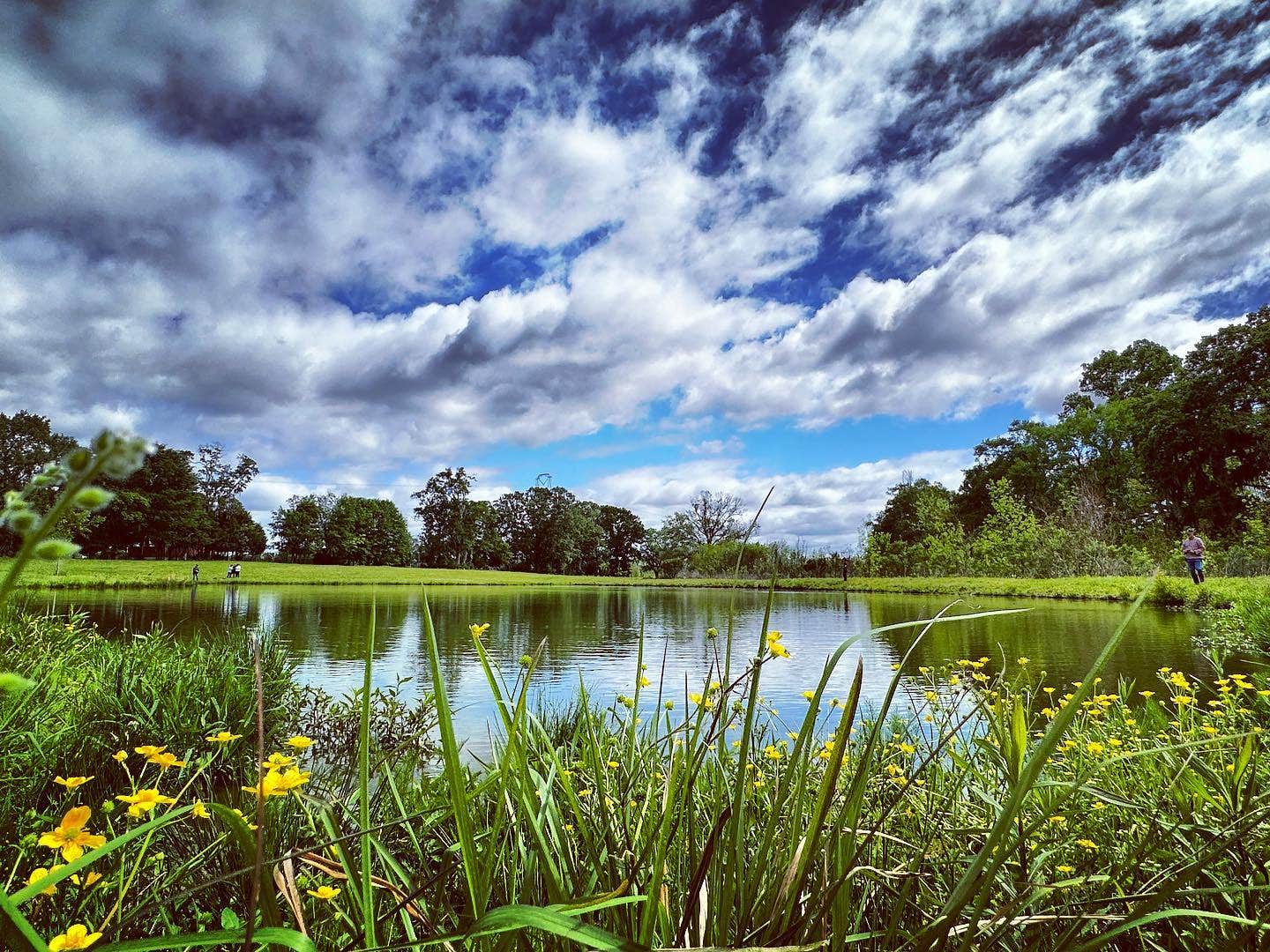 Camper-submitted photo at Kick Back Ranch & Event Center, LLC near Marbury, AL