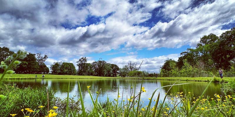 Camper submitted image from Kick Back Ranch & Event Center, LLC