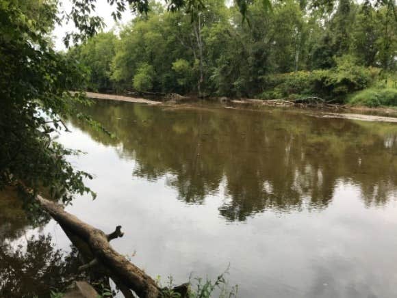 The Dyrt's photo of camping with pets at Tentrr Signature Site - Riverstone near Prince William Forest Park