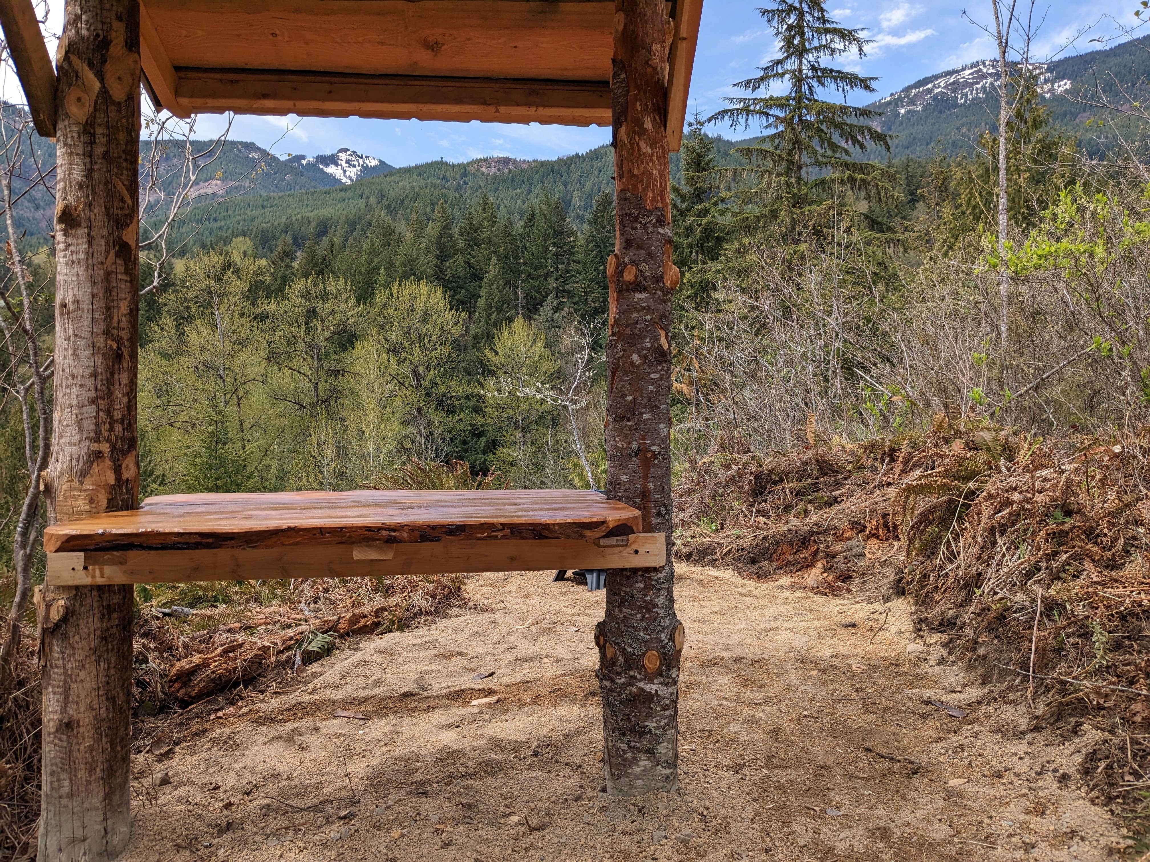 Camper-submitted photo at aa near Elbe, WA