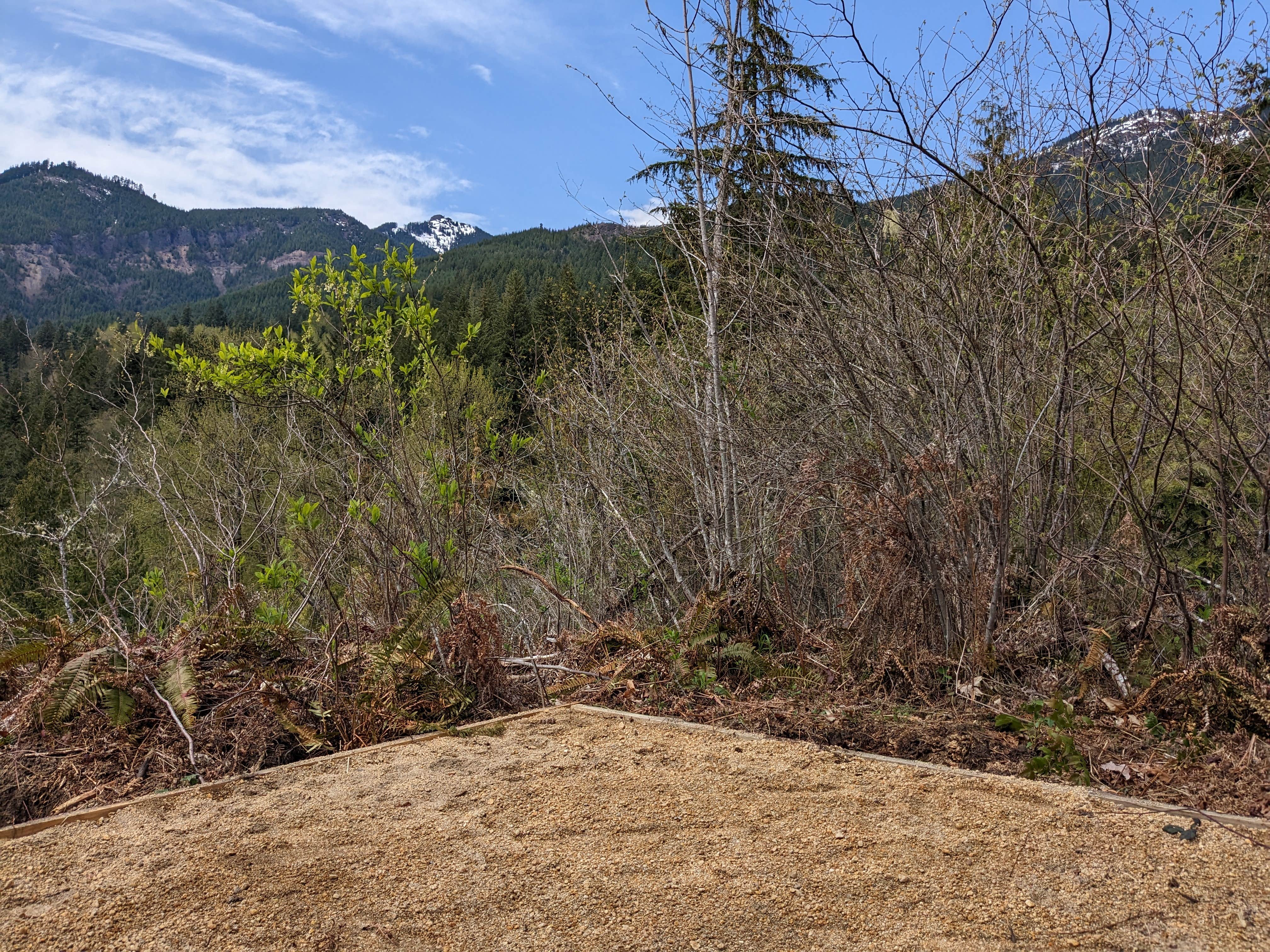 Camper-submitted photo at aa near Elbe, WA