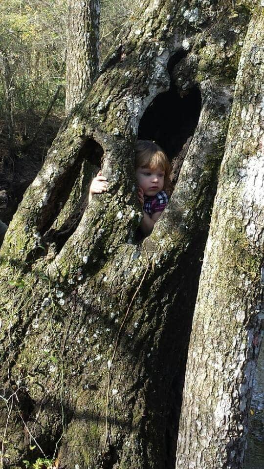 Camper submitted image from River Junction Campground — Withlacoochee State Forest - 5