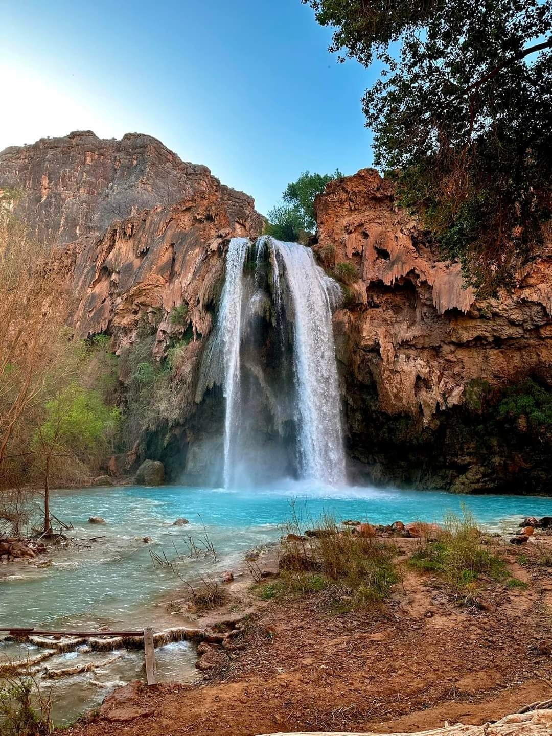 Camper submitted image from Havasu Falls - 3