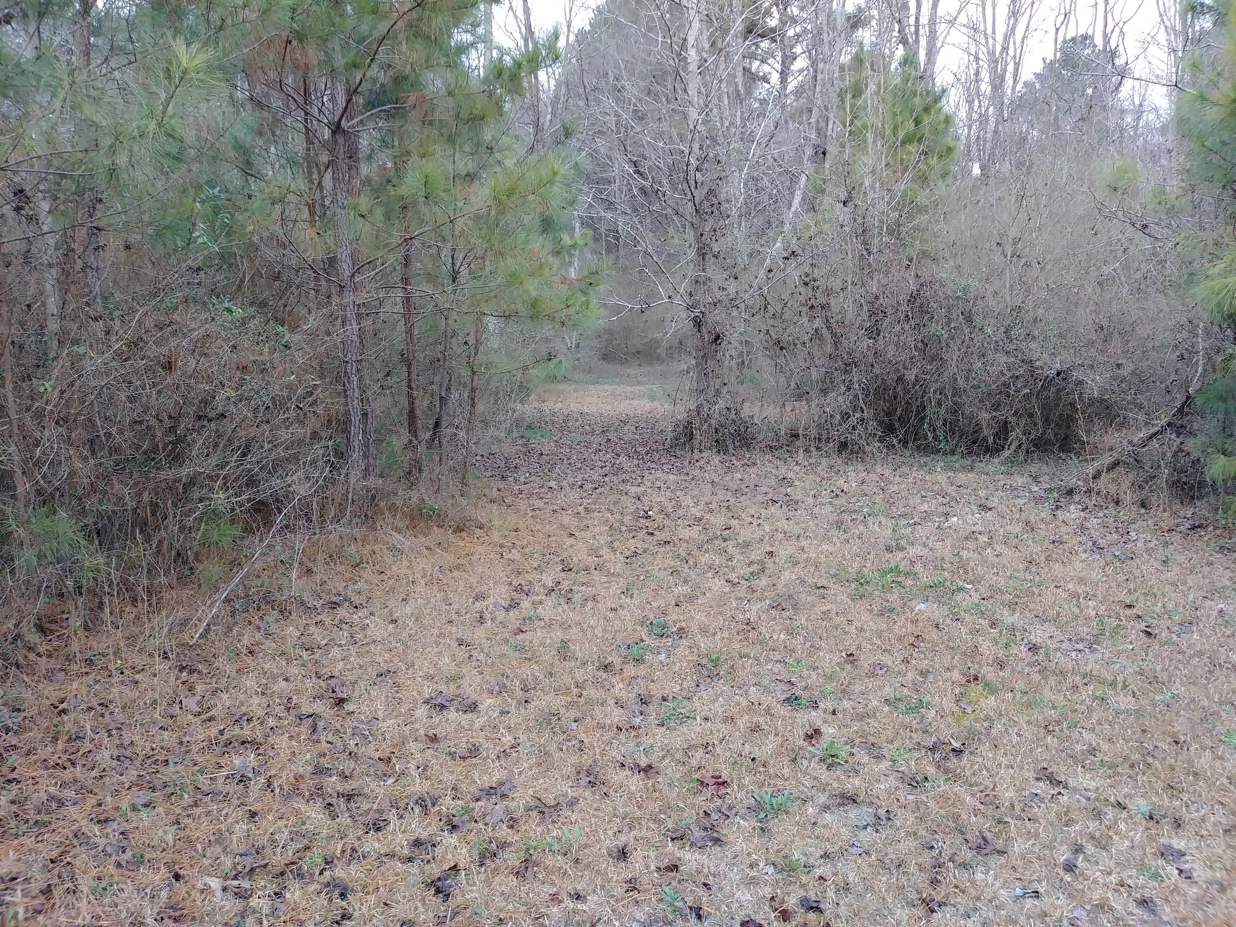 Camper-submitted photo at Nude in the country near Adairsville, GA