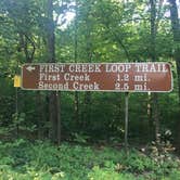 Review photo of Mammoth Cave Campground — Mammoth Cave National Park by Alison C., October 8, 2018