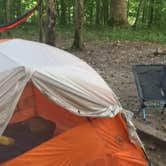 Review photo of Mammoth Cave Campground — Mammoth Cave National Park by Alison C., October 8, 2018