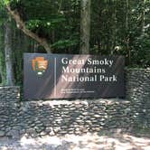 Review photo of Elkmont Campground — Great Smoky Mountains National Park by Alison C., October 8, 2018