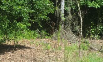 Camping near Lower Hillsborough Wilderness Preserve: Dead River Wilderness Park, Thonotosassa, Florida