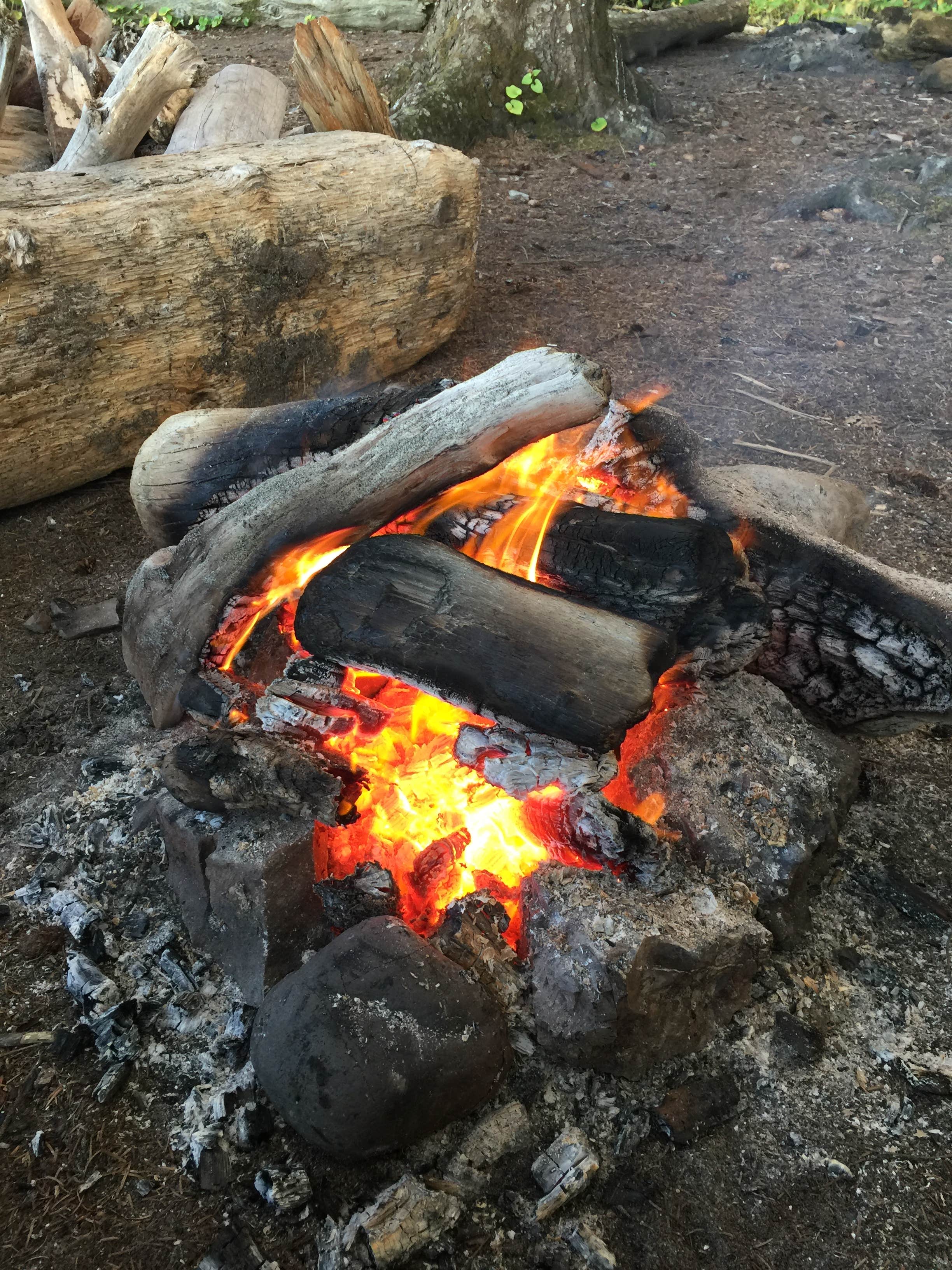Alison C.'s photo at Toleak Point near La Push, WA