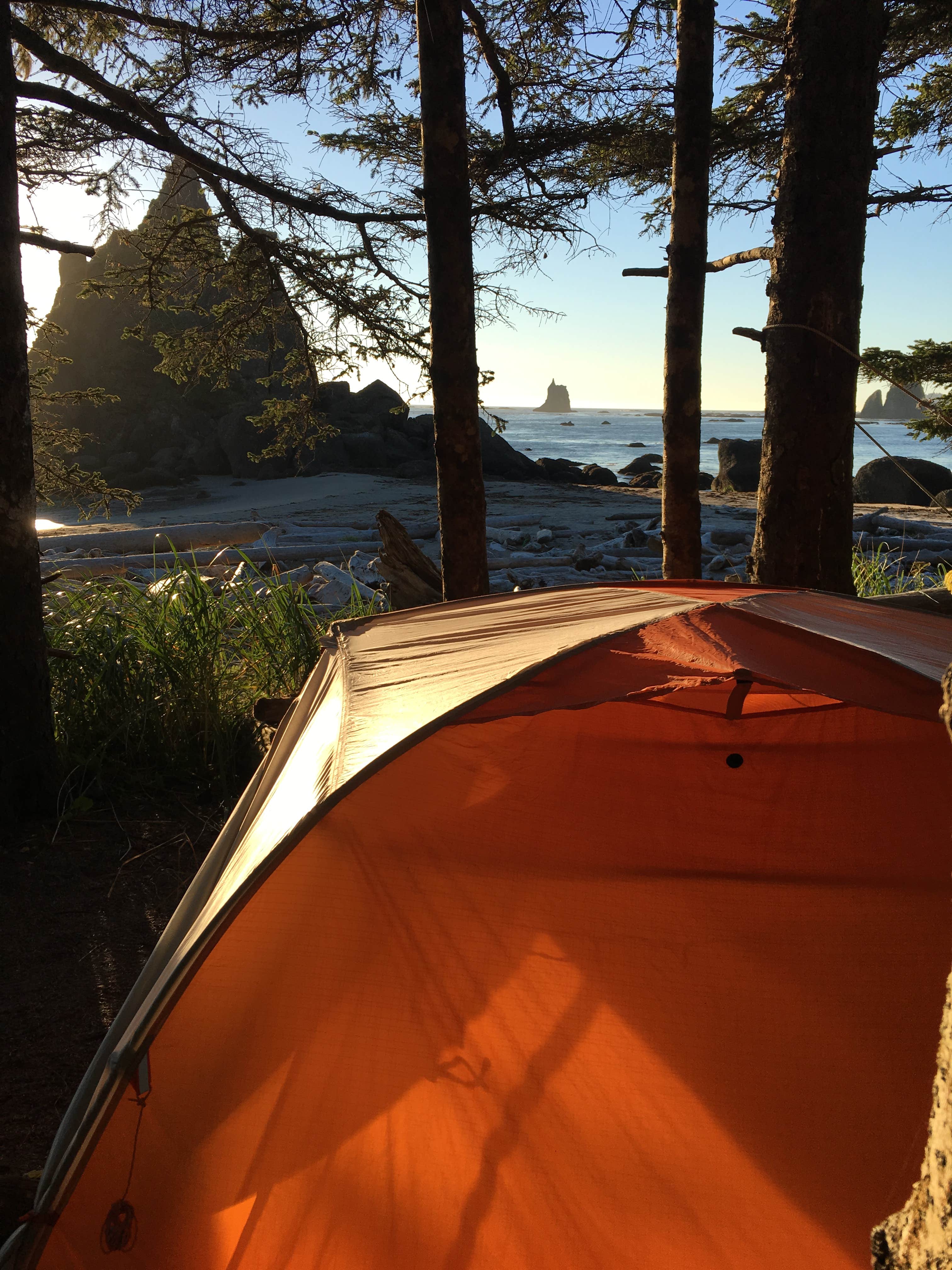 Alison C.'s photo of tent camping at Toleak Point near Forks, WA