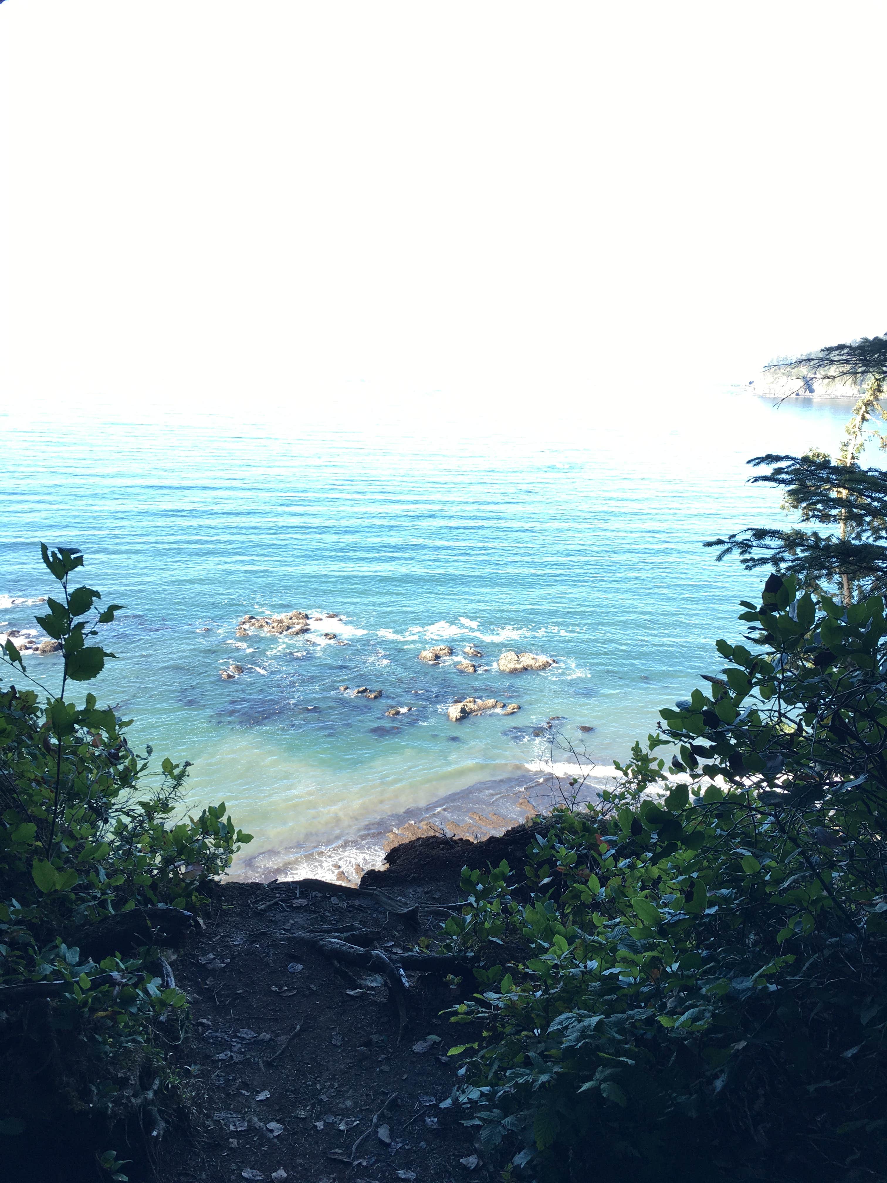 Strawberry Point Camping The Dyrt