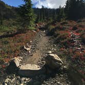 Review photo of Lunch Lake by Alison C., October 8, 2018