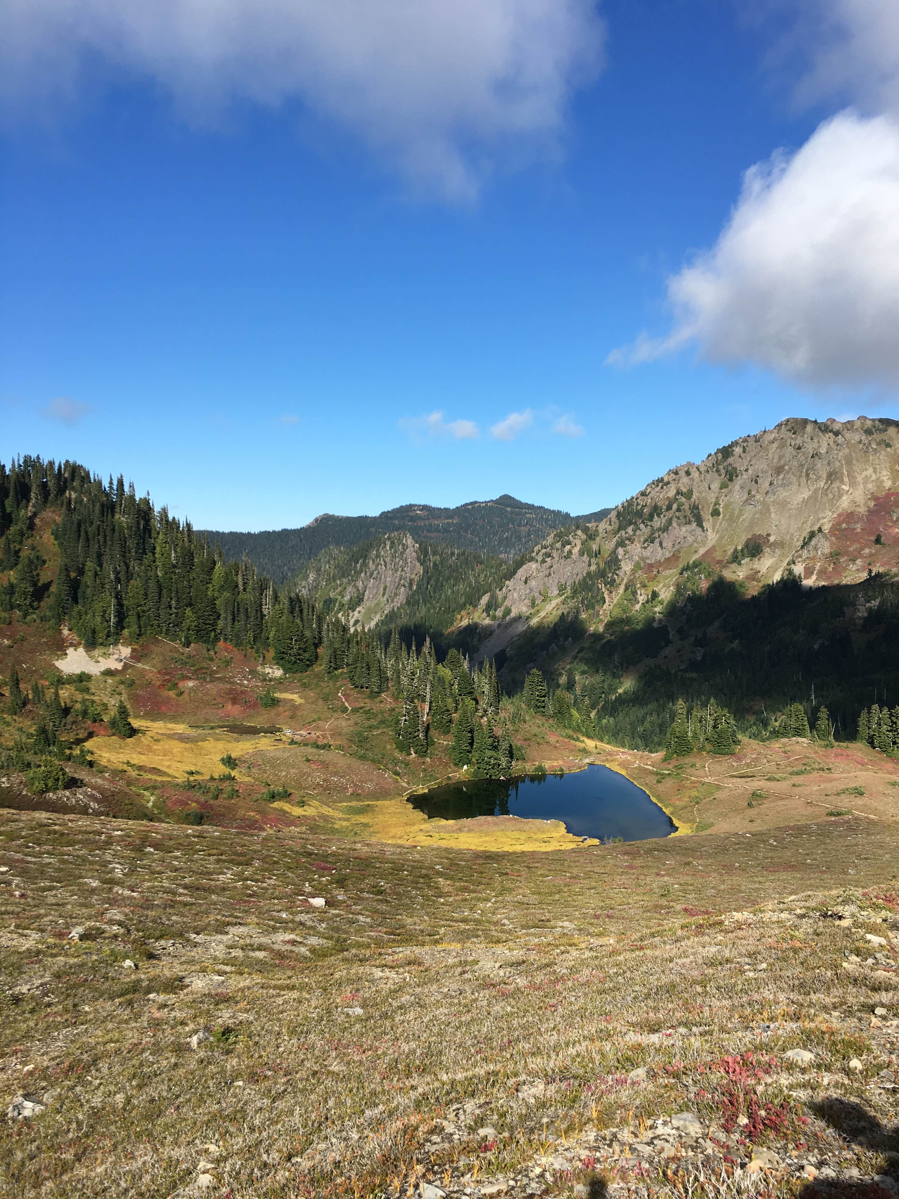 Camper submitted image from Lunch Lake - 4