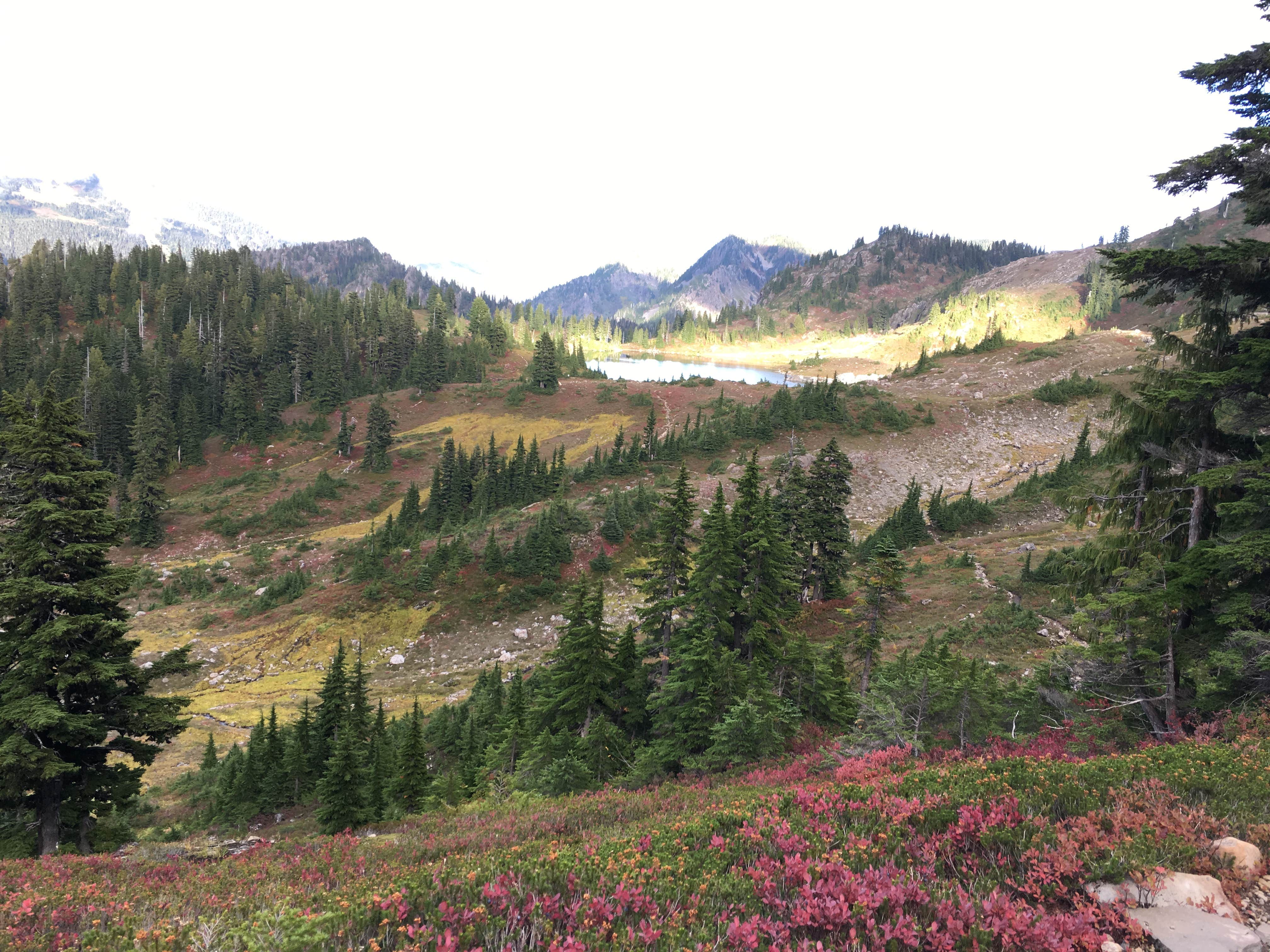 Camper-submitted photo at Lunch Lake — Olympic National Park near Olympic National Park