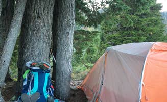 Alison C.'s photo at Lunch Lake — Olympic National Park near Olympic National Park