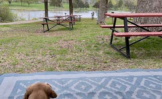 Stephanie S.'s photo of camping with pets at Allison Lake Storey near Keithsburg, IL