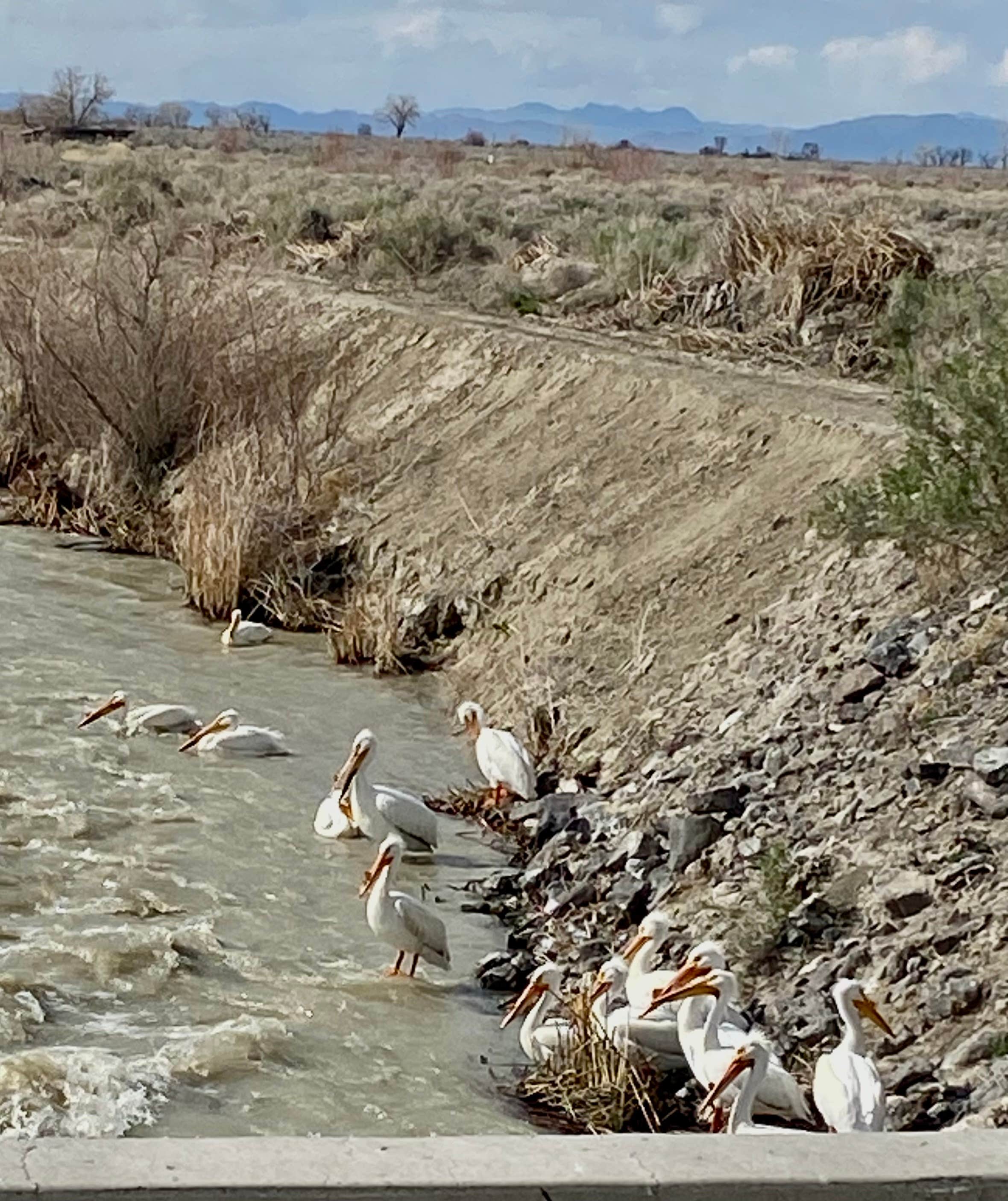 Camper submitted image from Stillwater National Wildlife Refuge Dispersed Camping - 4