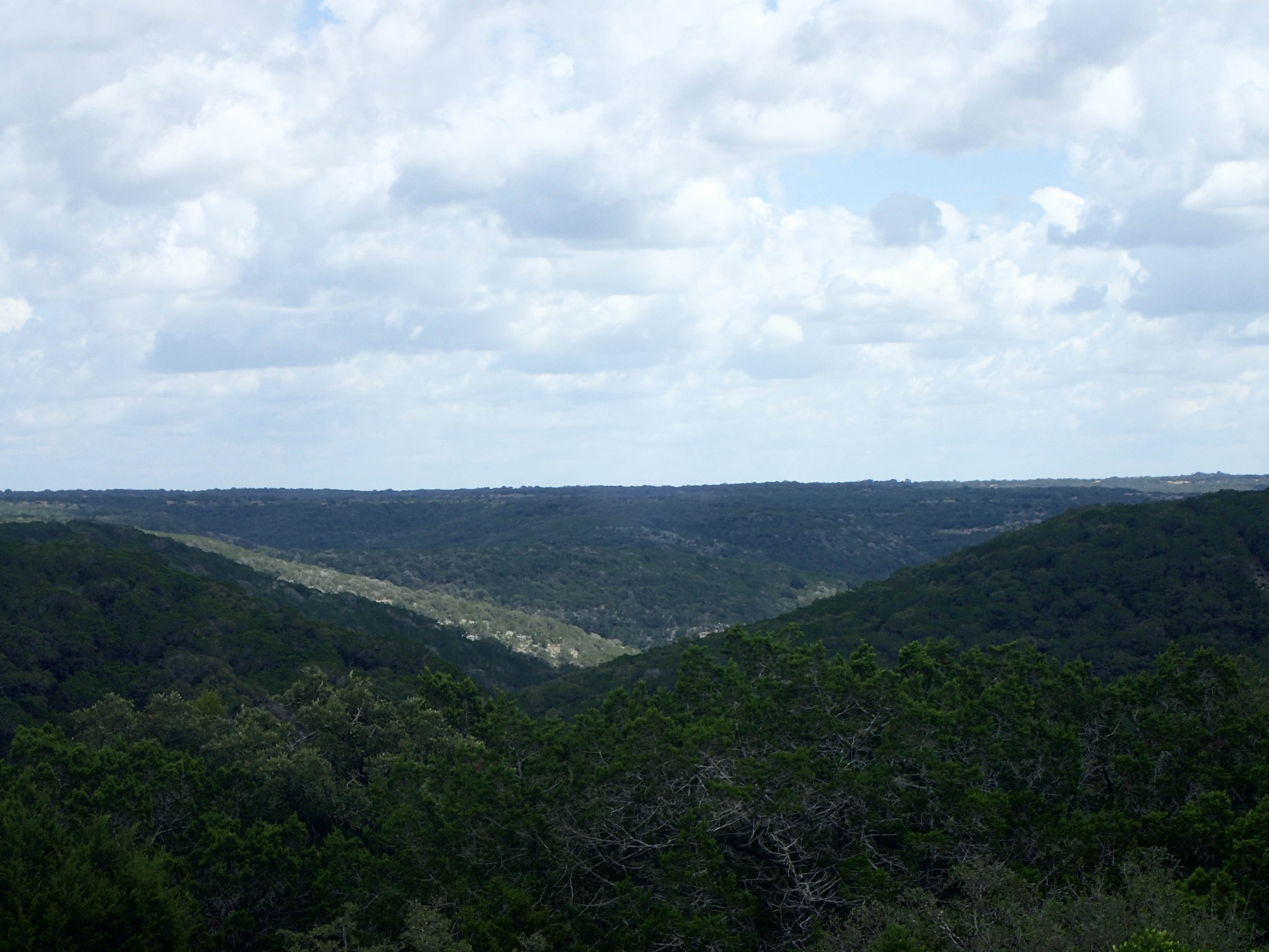 Camper submitted image from Lost Maples State Natural Area - 2