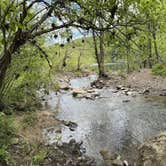 Review photo of Rock Creek Campground — Obed Wild and Scenic River by Donald W., May 3, 2023