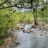 Review photo of Rock Creek Campground — Obed Wild and Scenic River by Donald W., May 3, 2023