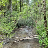 Review photo of Rock Creek Campground — Obed Wild and Scenic River by Donald W., May 3, 2023