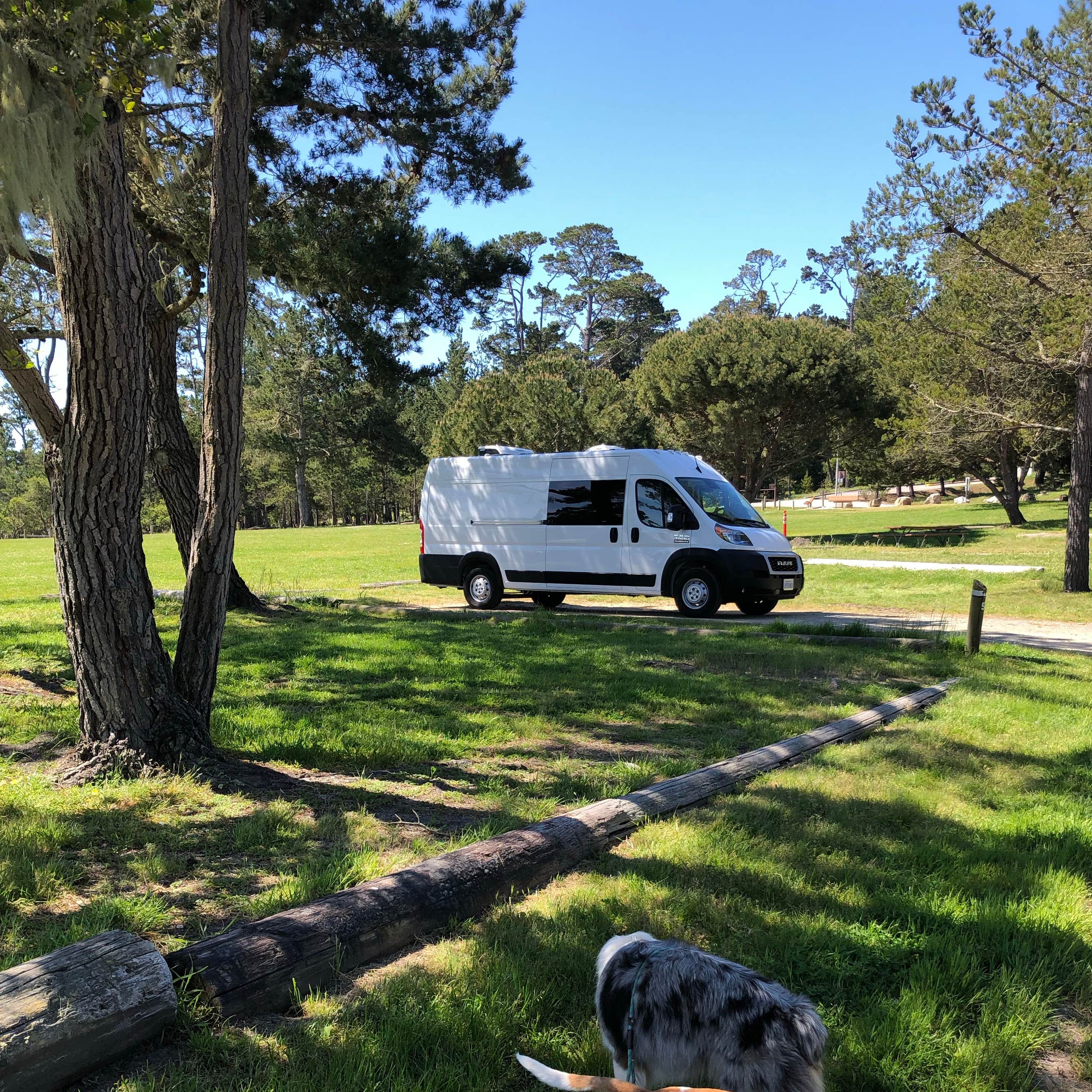 Veteran's Memorial Park Campground | Monterey, CA