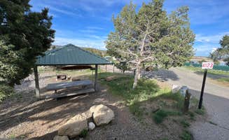 Melissa S.'s photo of camping with pets at Pine Main Campground — Navajo Lake State Park near Nageezi, NM