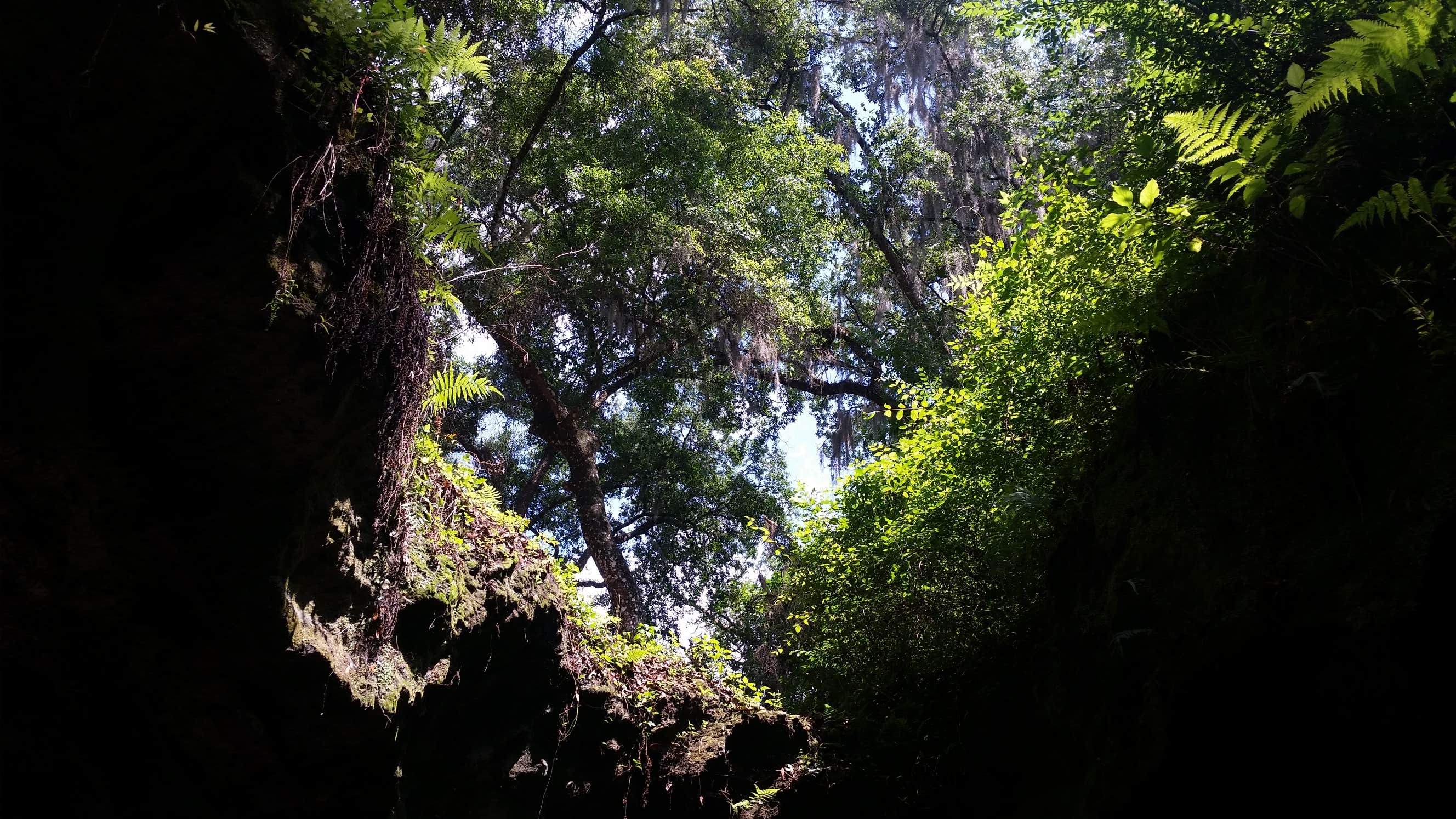 Camper-submitted photo at Tillis Hill Equestrian Campground — Withlacoochee State Forest near Hernando, FL