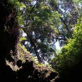 Review photo of Tillis Hill  Recreation Area - Withlacoochee State Forest by Nate D., October 8, 2018