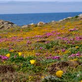 Review photo of Salt Point State Park Campground by Lee D., May 3, 2023