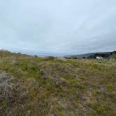 Review photo of Salt Point State Park Campground by Lee D., May 3, 2023