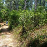 Review photo of Holder Mine Campground by Nate D., October 8, 2018