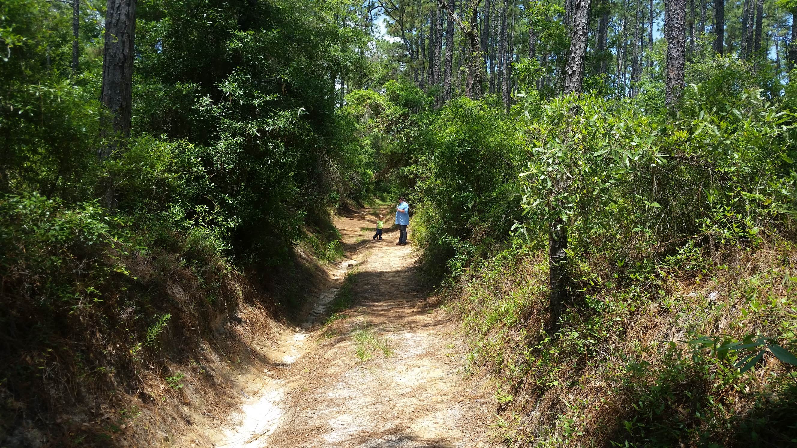 Camper submitted image from Holder Mine Campground - 4