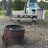 Review photo of Salt Point State Park Campground by Lee D., May 3, 2023