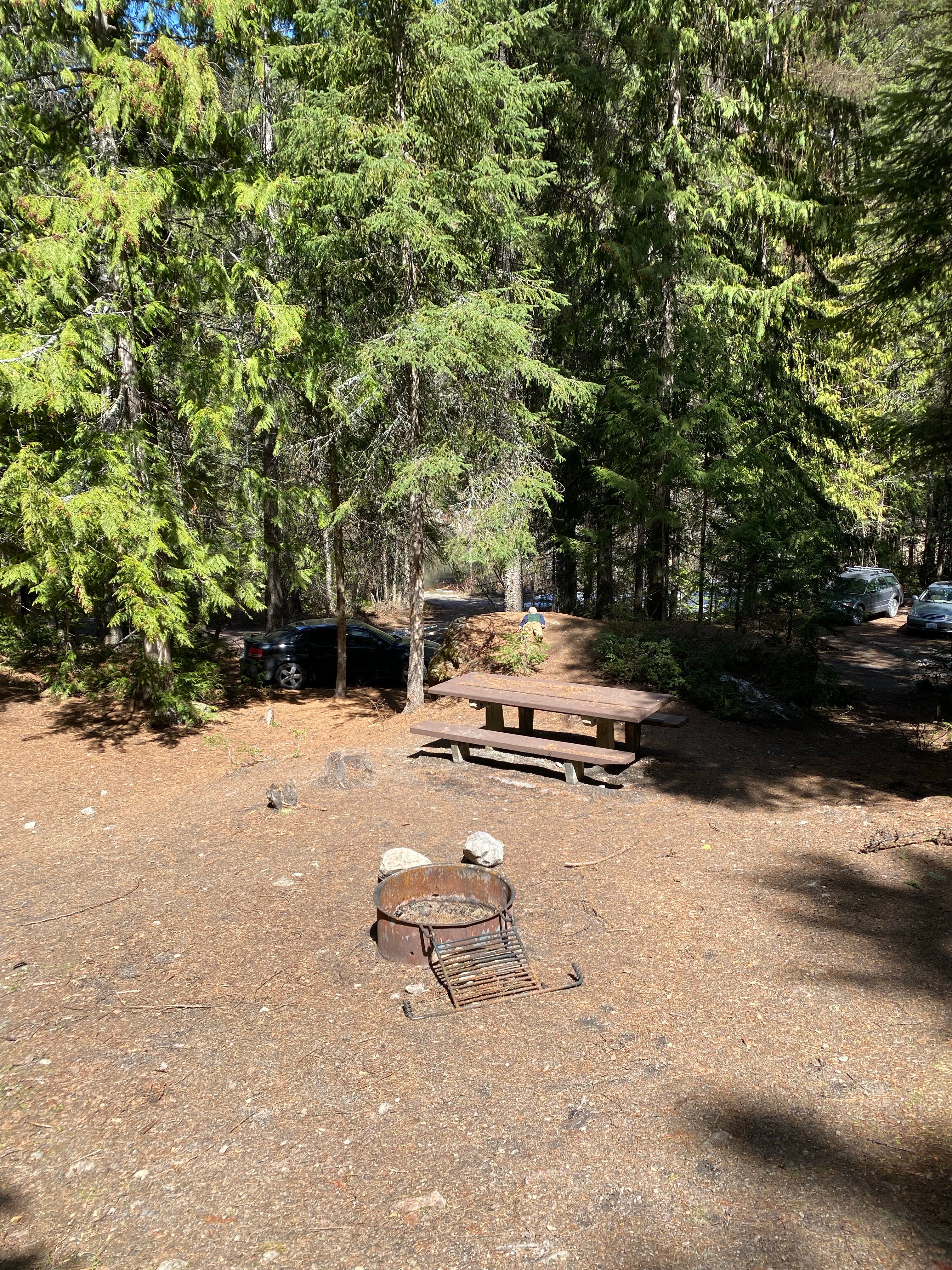 Camper submitted image from Trout Lake Campground - 1