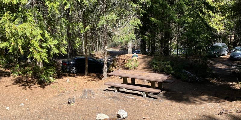 Camper submitted image from Trout Lake Campground