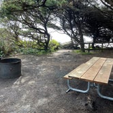 Review photo of Tillicum Beach Campground by Lee D., May 3, 2023