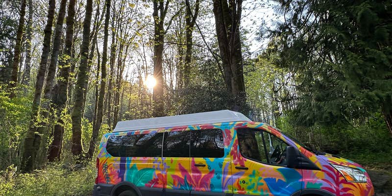 Camper submitted image from Dosewallips State Park Campground