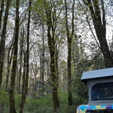 Review photo of Dosewallips State Park Campground by Jake H., May 3, 2023
