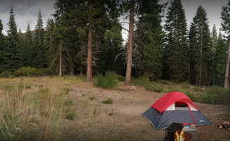 Justine B.'s photo at Mcbride Springs Campground near Mount Shasta, CA