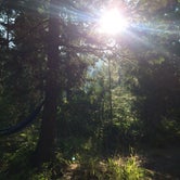 Review photo of Mcbride Springs Campground by Justine B., October 8, 2018
