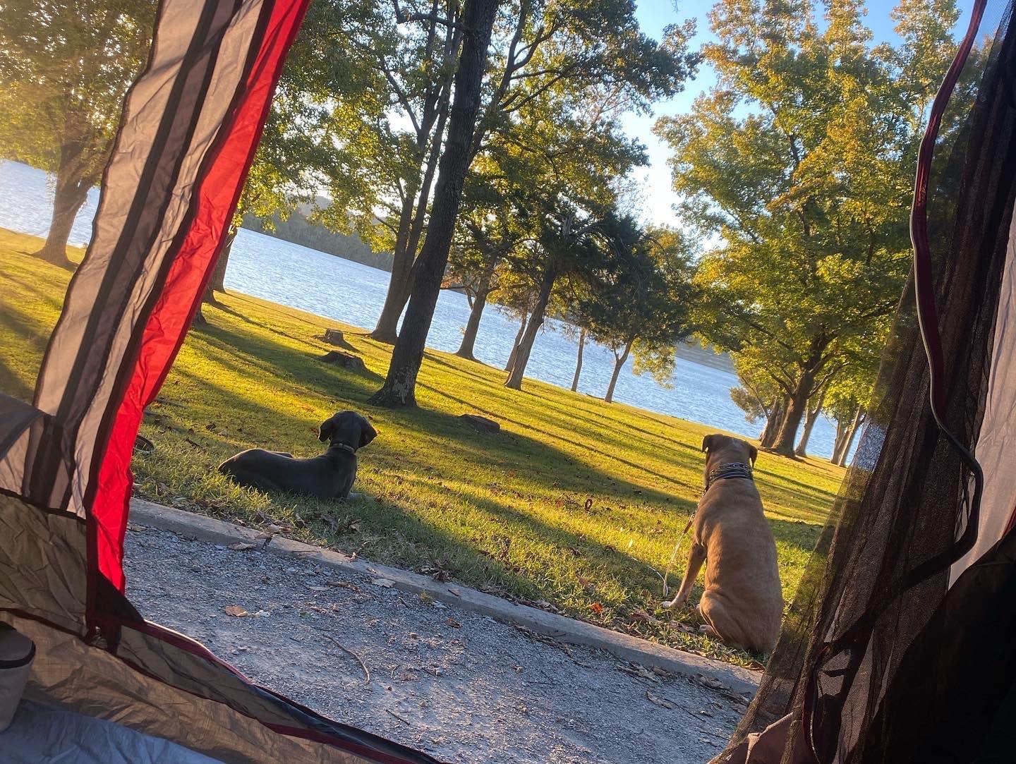 Nikki M.'s photo at Defeated Creek Campground near Norene, TN