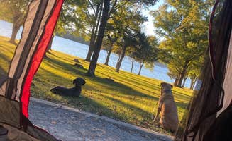 Nikki M.'s photo of camping with pets at Defeated Creek Campground near Dale Hollow Lake