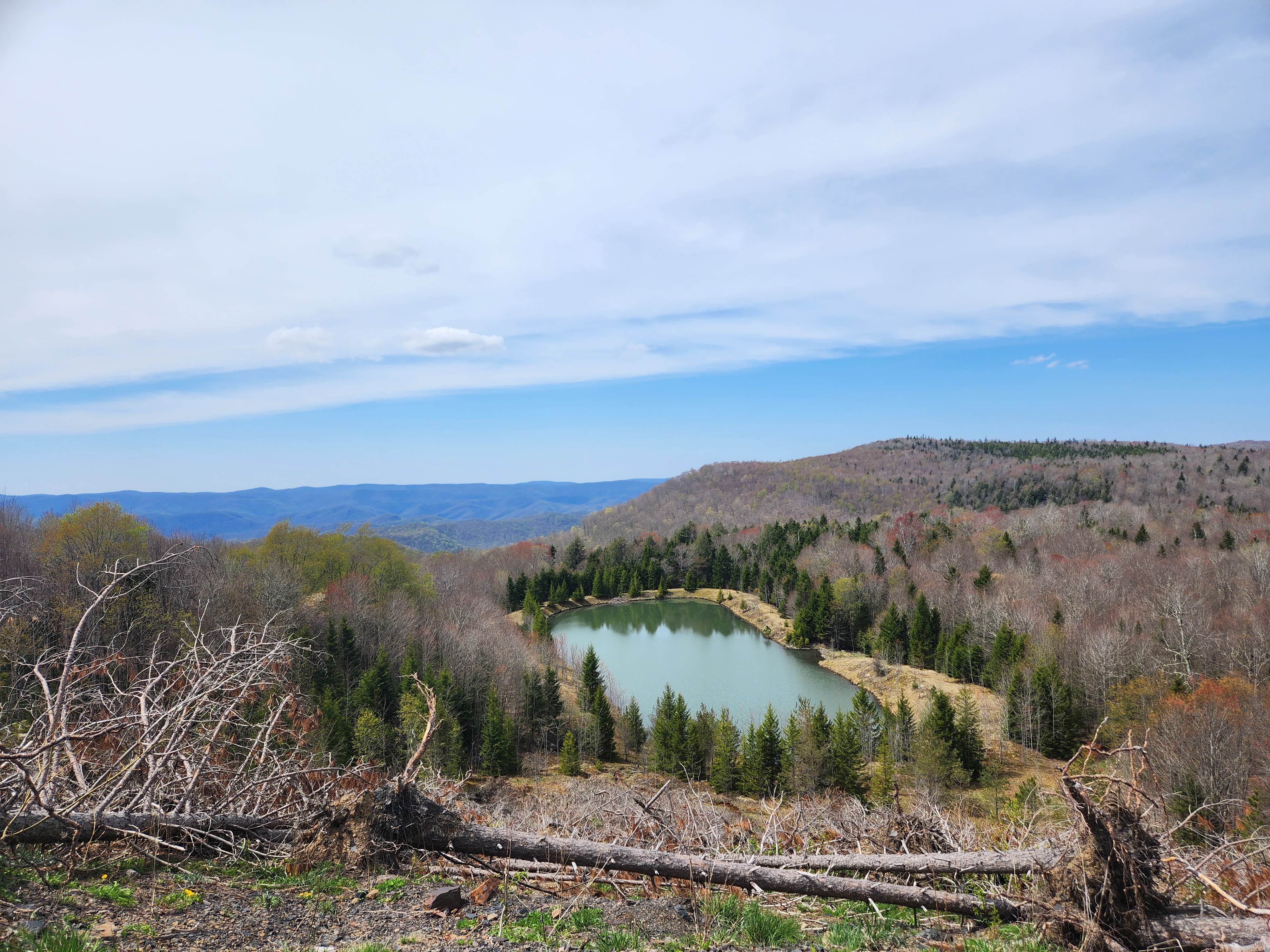 Mystic S.'s photo of a dispersed camping area at Dispersed camping at Mower Basin near Craigsville, WV